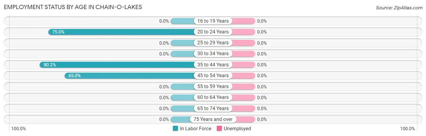 Employment Status by Age in Chain-O-Lakes