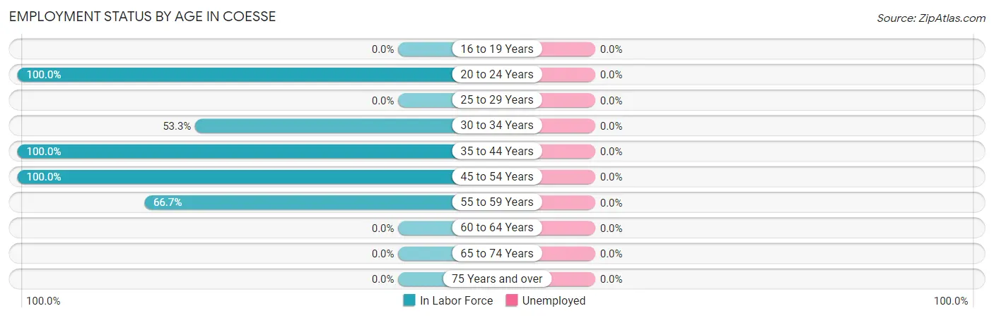 Employment Status by Age in Coesse