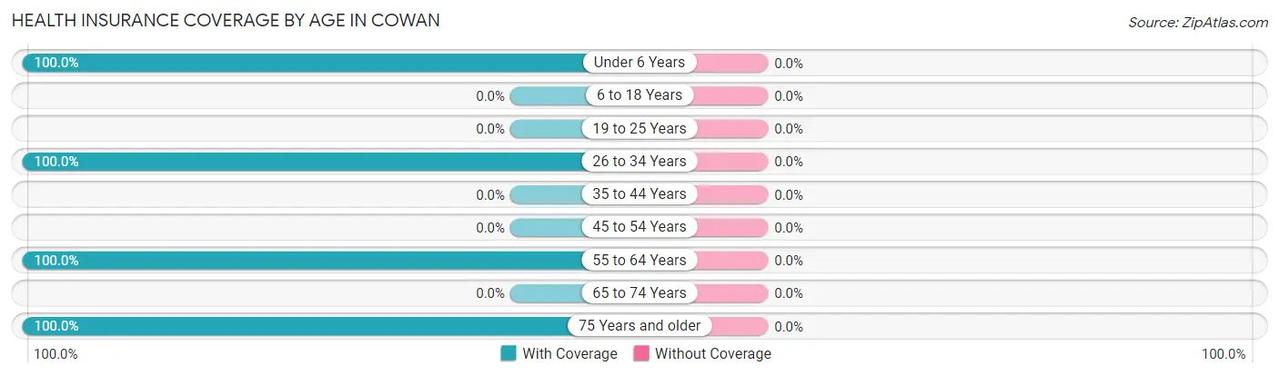 Health Insurance Coverage by Age in Cowan