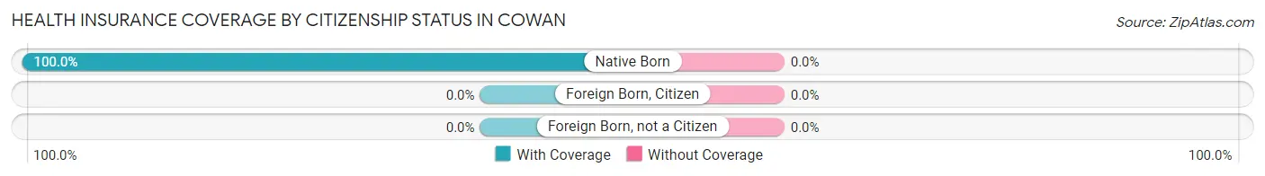 Health Insurance Coverage by Citizenship Status in Cowan