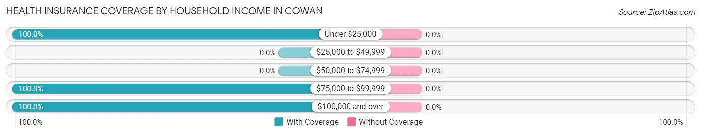 Health Insurance Coverage by Household Income in Cowan