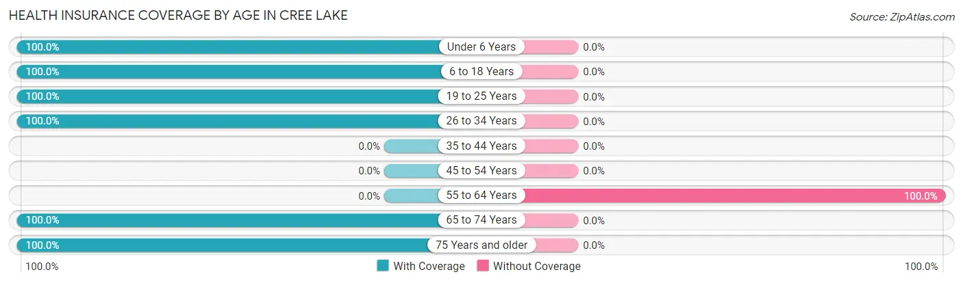 Health Insurance Coverage by Age in Cree Lake