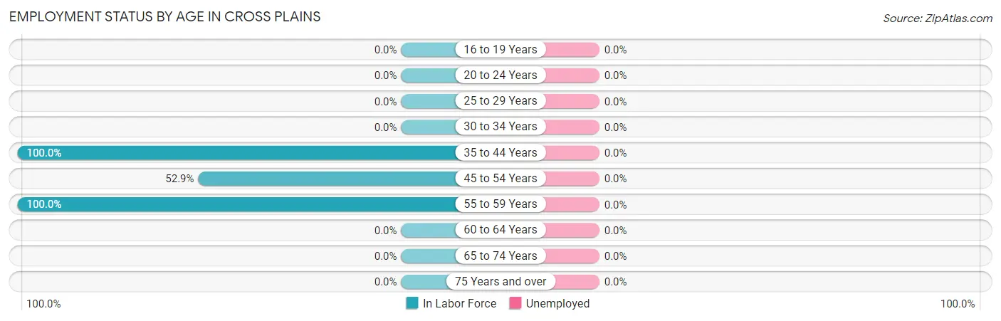 Employment Status by Age in Cross Plains