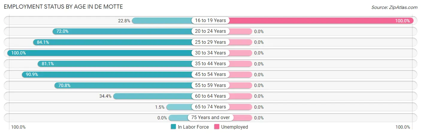 Employment Status by Age in De Motte