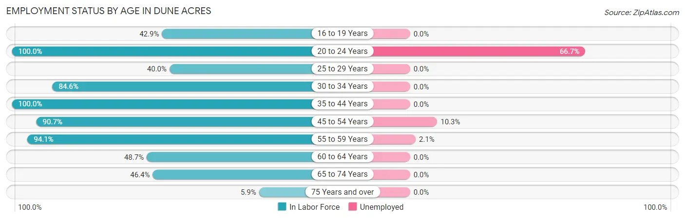 Employment Status by Age in Dune Acres