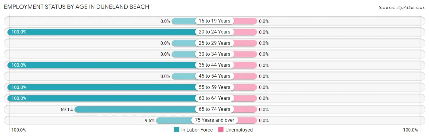Employment Status by Age in Duneland Beach