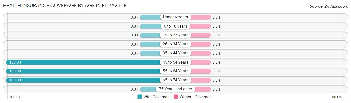 Health Insurance Coverage by Age in Elizaville