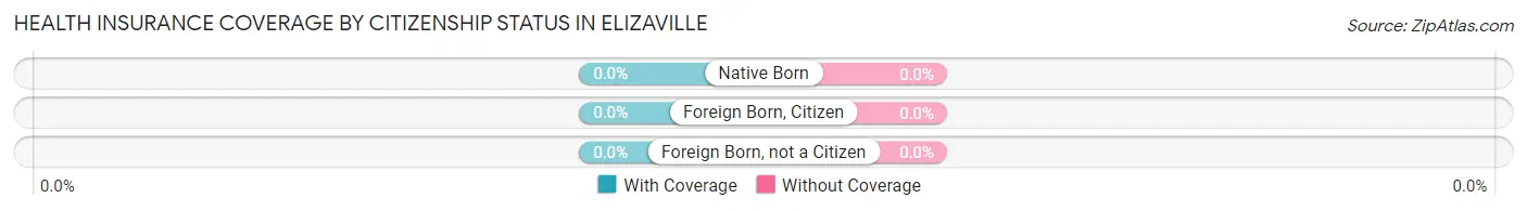 Health Insurance Coverage by Citizenship Status in Elizaville