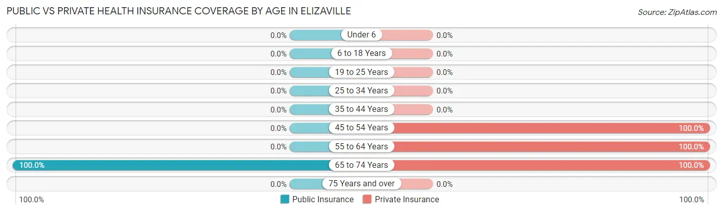 Public vs Private Health Insurance Coverage by Age in Elizaville
