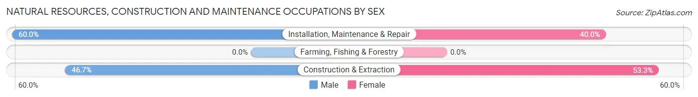 Natural Resources, Construction and Maintenance Occupations by Sex in Etna Green