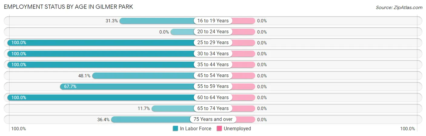 Employment Status by Age in Gilmer Park