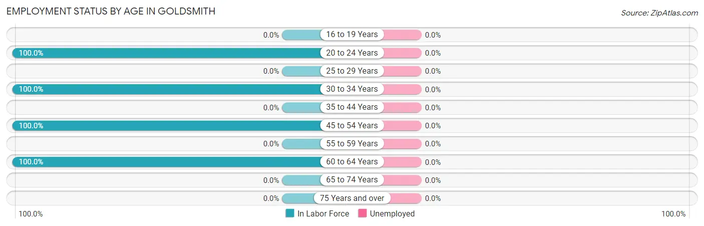 Employment Status by Age in Goldsmith
