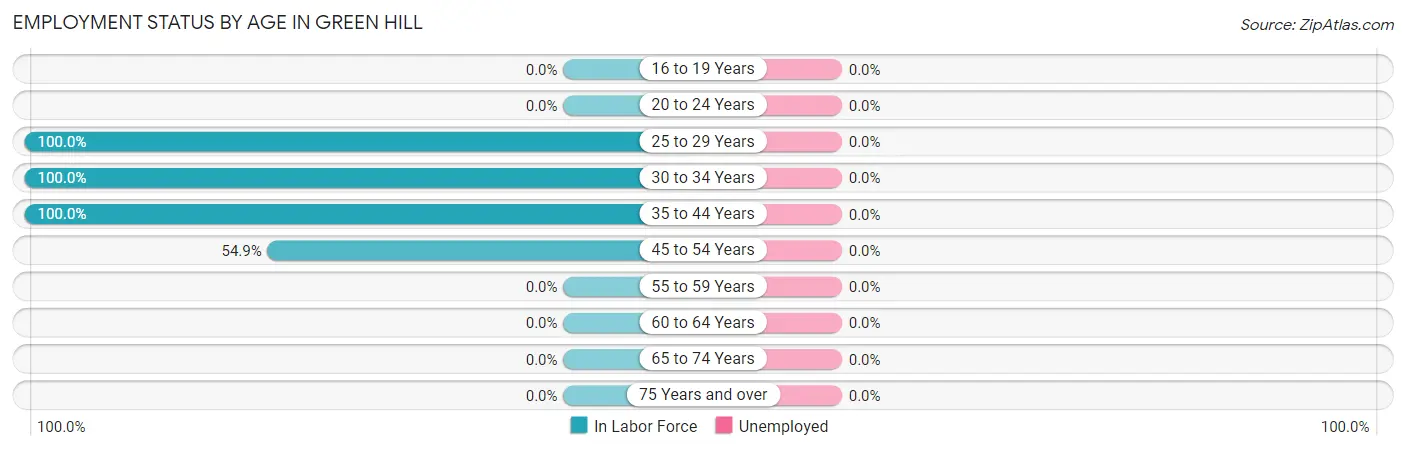 Employment Status by Age in Green Hill