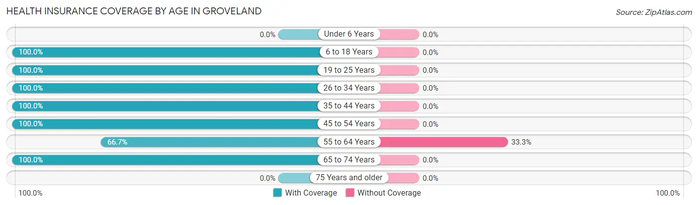 Health Insurance Coverage by Age in Groveland