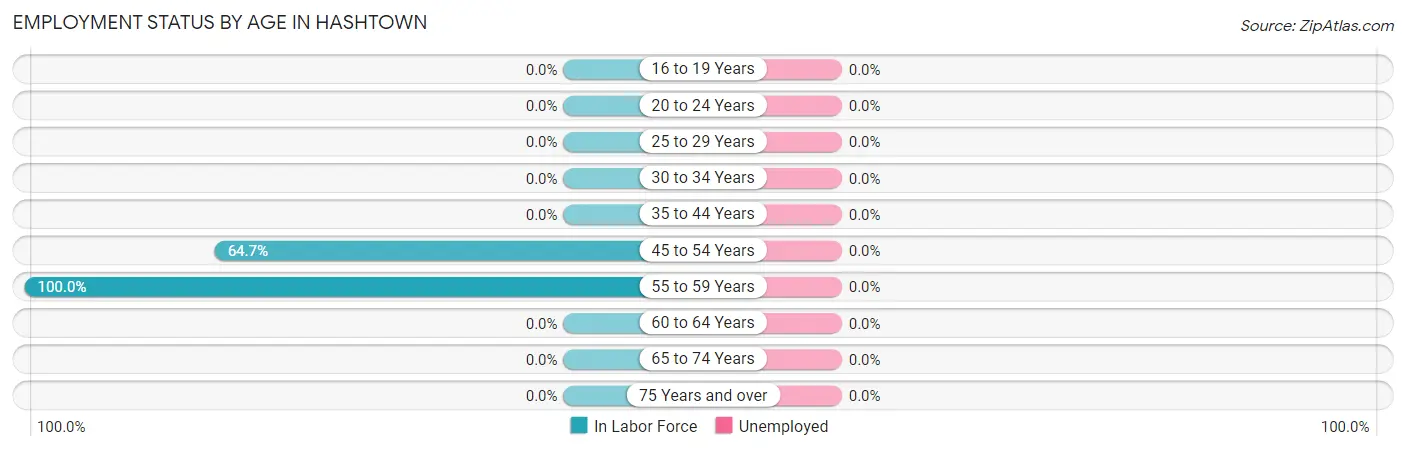 Employment Status by Age in Hashtown