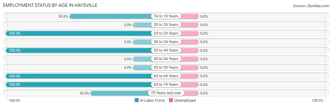 Employment Status by Age in Haysville