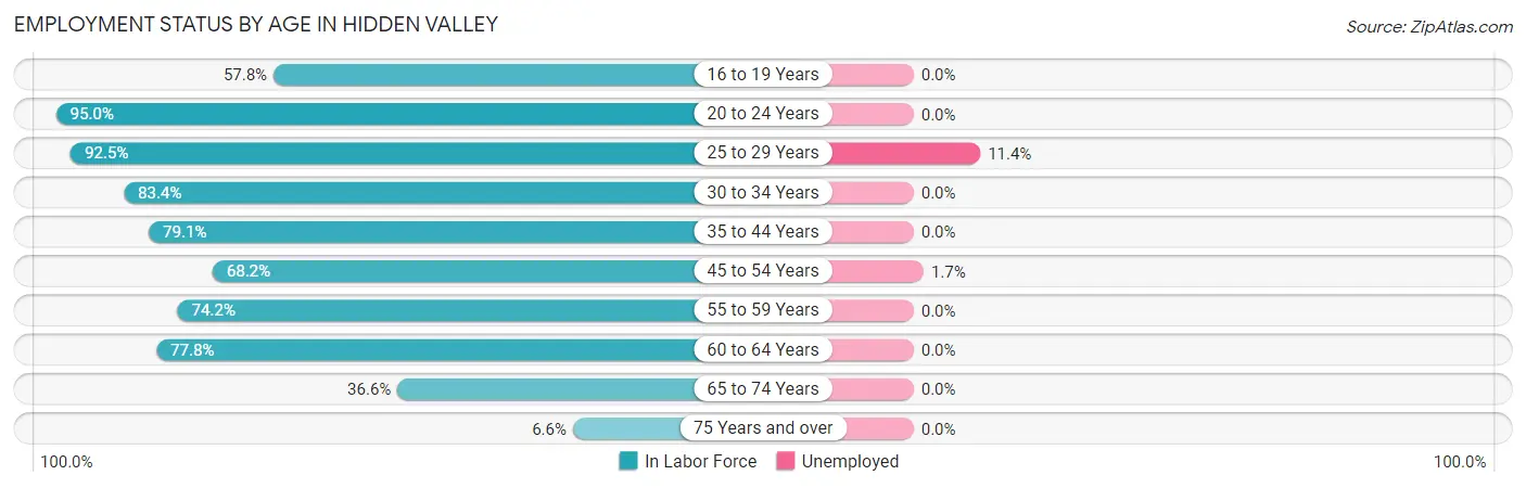 Employment Status by Age in Hidden Valley