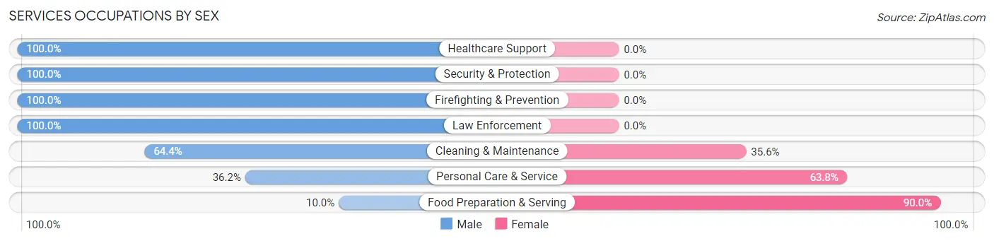 Services Occupations by Sex in Hidden Valley