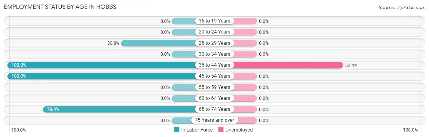 Employment Status by Age in Hobbs