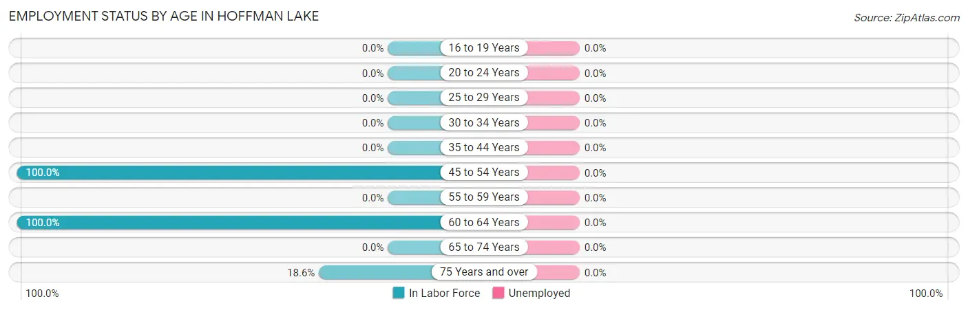 Employment Status by Age in Hoffman Lake
