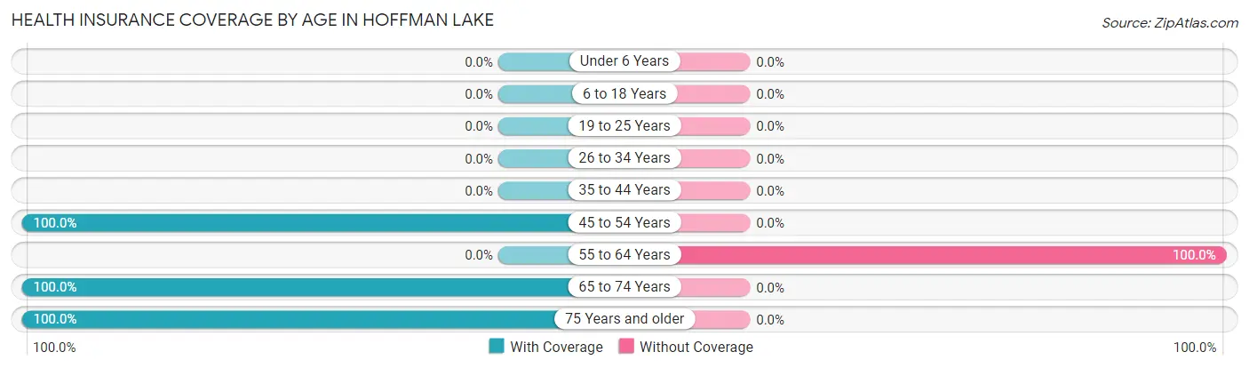 Health Insurance Coverage by Age in Hoffman Lake