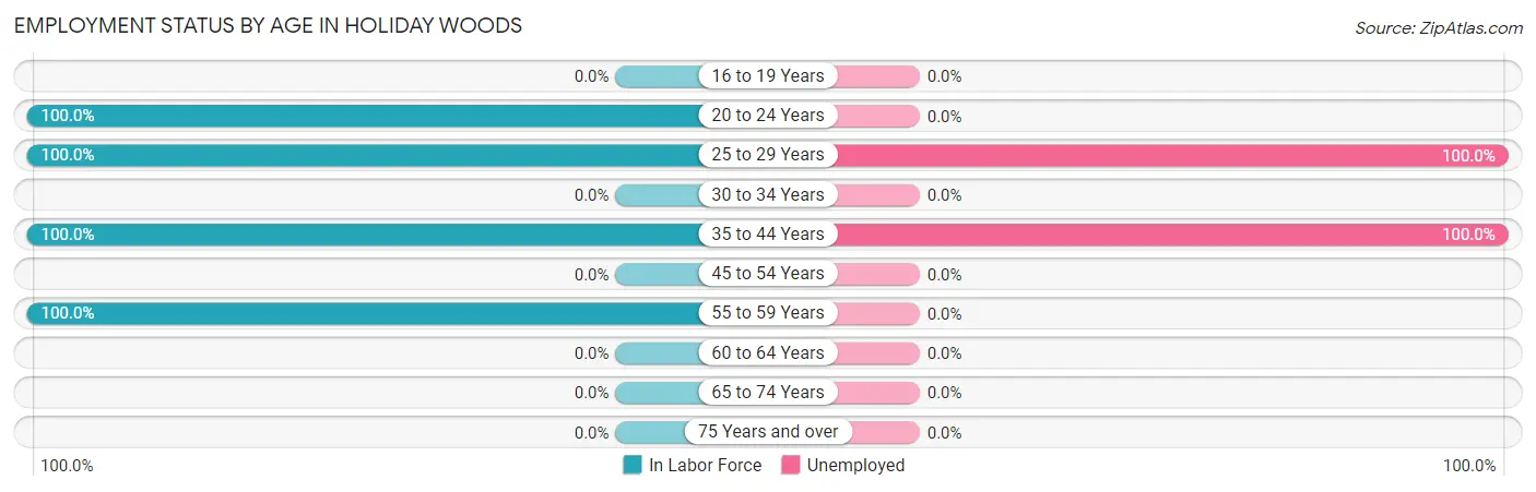 Employment Status by Age in Holiday Woods