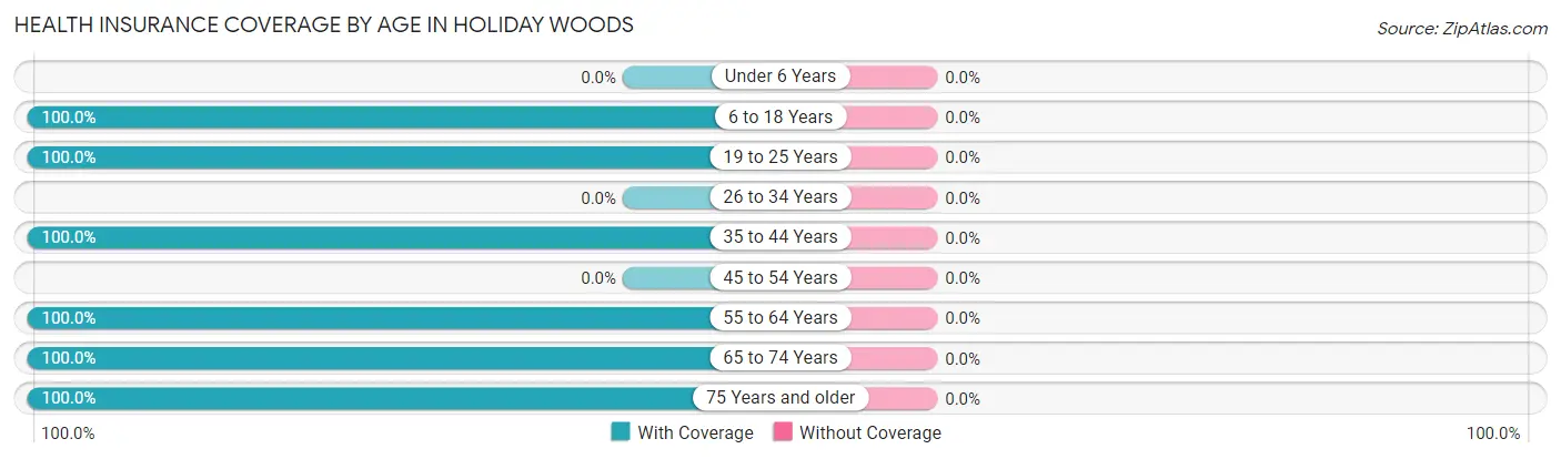 Health Insurance Coverage by Age in Holiday Woods
