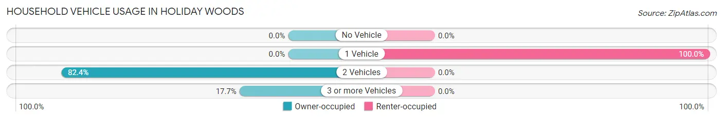 Household Vehicle Usage in Holiday Woods