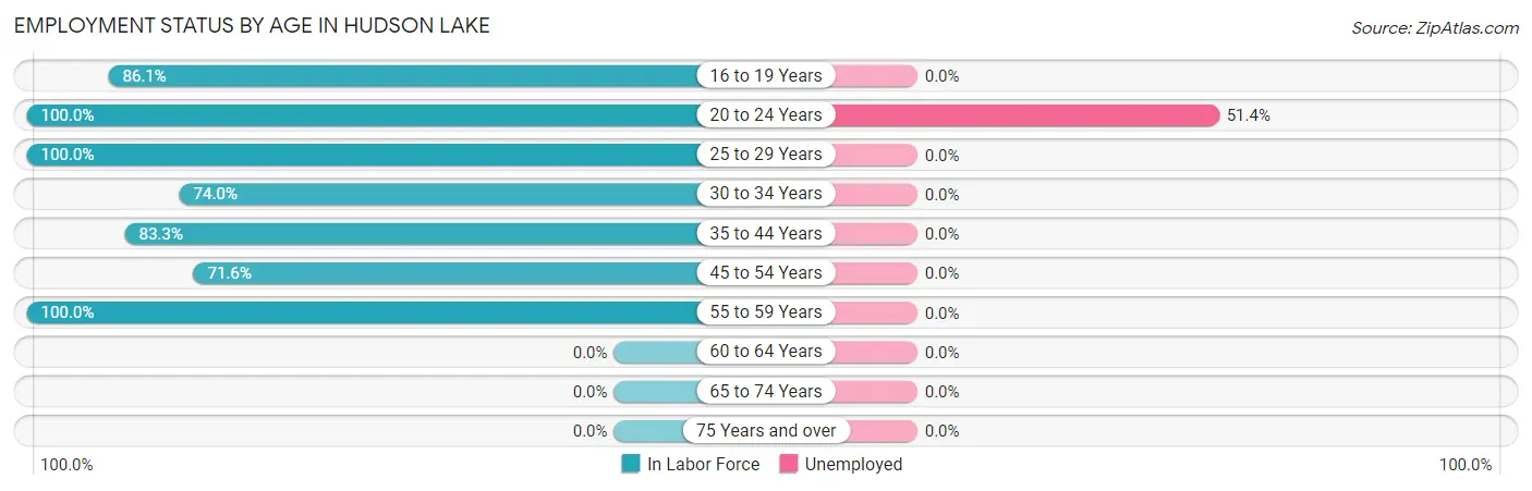 Employment Status by Age in Hudson Lake