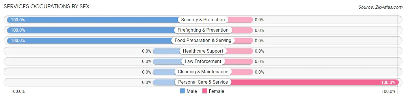 Services Occupations by Sex in Hudson Lake
