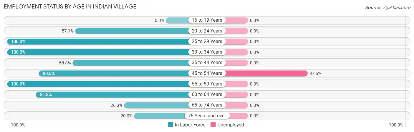 Employment Status by Age in Indian Village