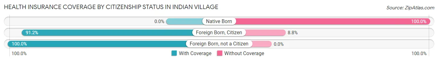 Health Insurance Coverage by Citizenship Status in Indian Village