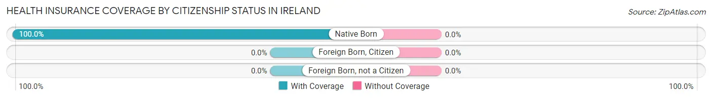Health Insurance Coverage by Citizenship Status in Ireland
