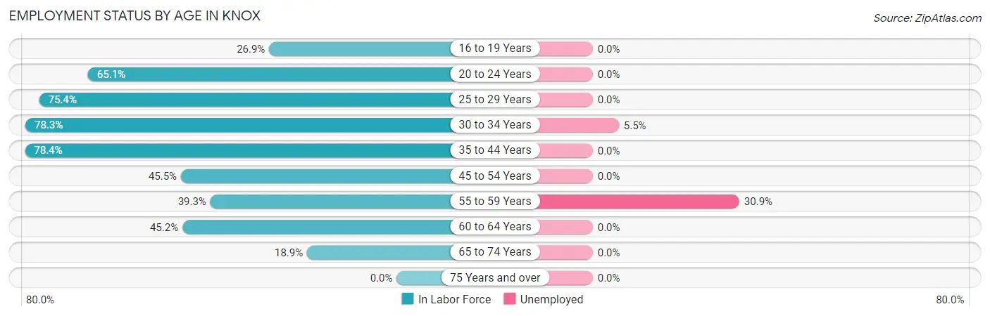 Employment Status by Age in Knox