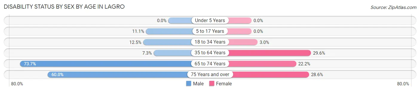 Disability Status by Sex by Age in Lagro