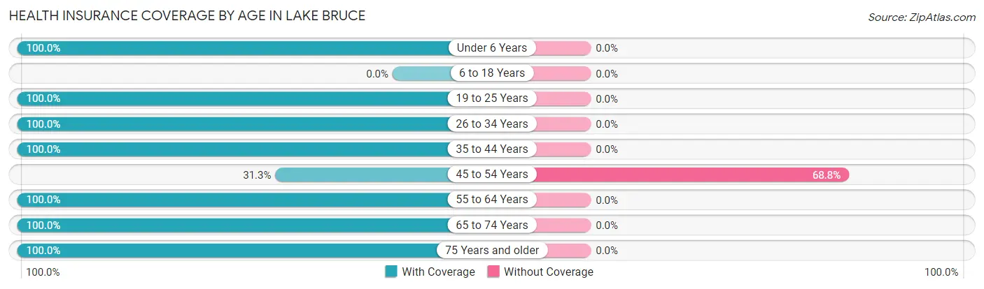 Health Insurance Coverage by Age in Lake Bruce