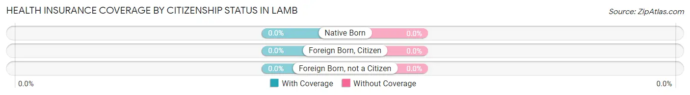 Health Insurance Coverage by Citizenship Status in Lamb