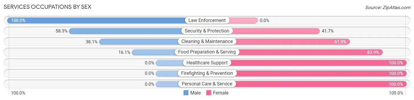 Services Occupations by Sex in Lapel