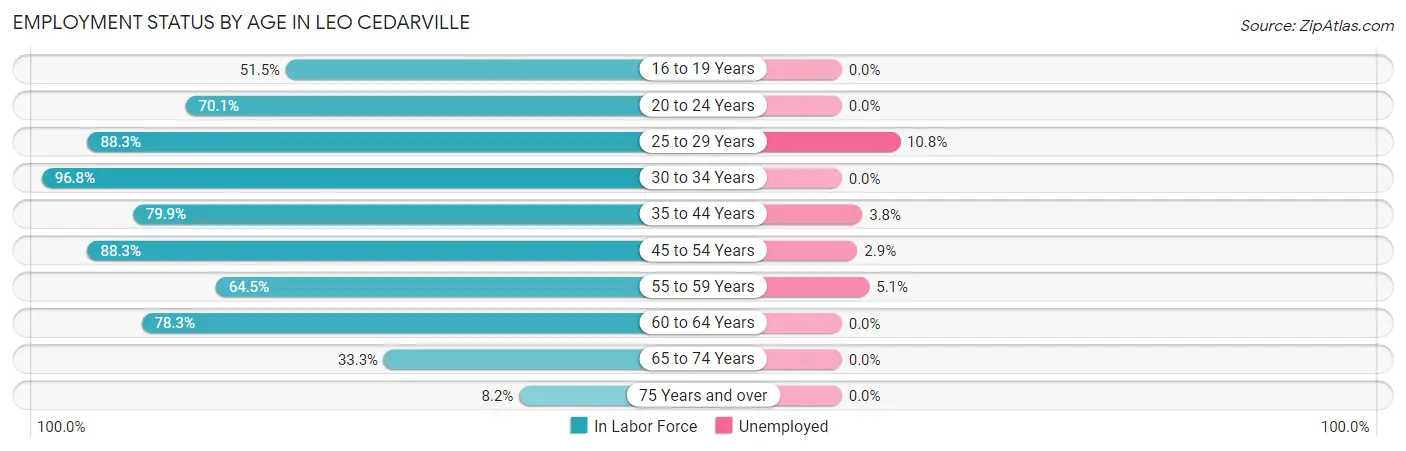 Employment Status by Age in Leo Cedarville