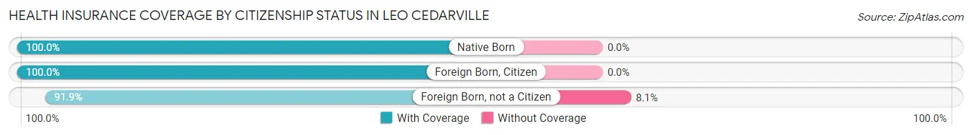 Health Insurance Coverage by Citizenship Status in Leo Cedarville