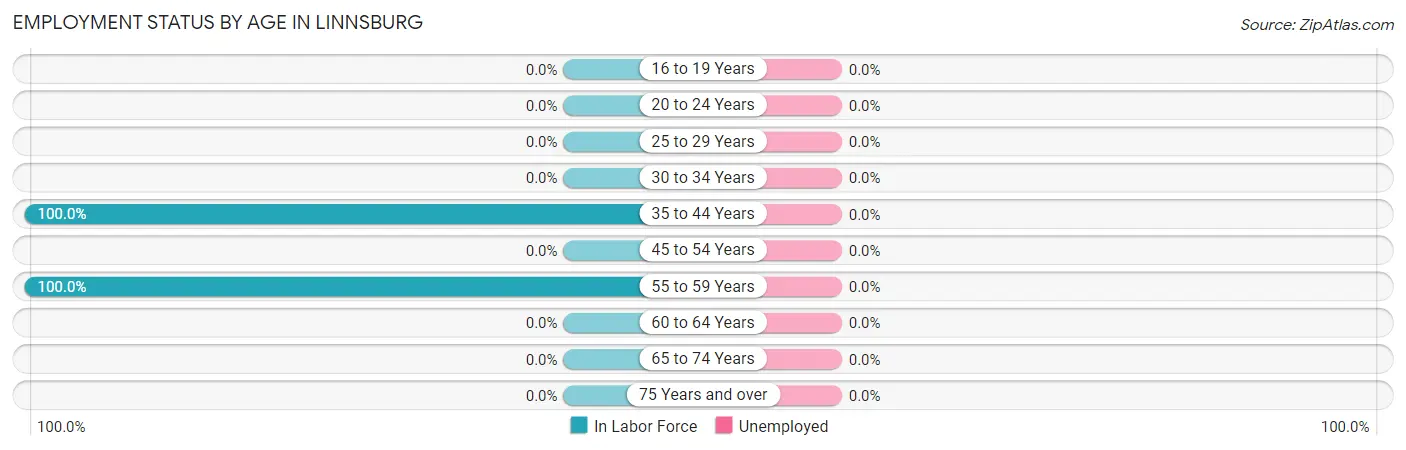 Employment Status by Age in Linnsburg