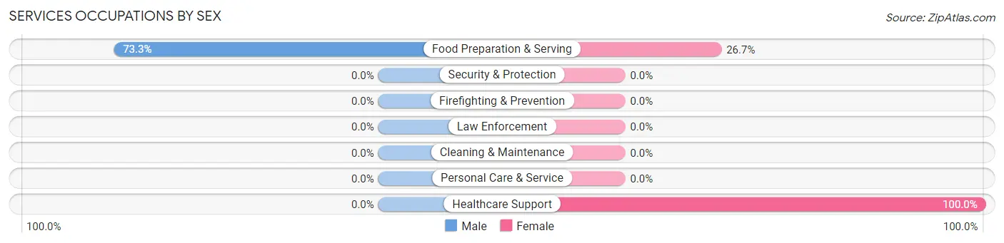 Services Occupations by Sex in Manilla