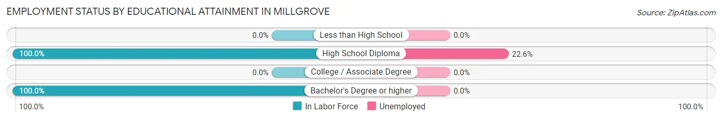 Employment Status by Educational Attainment in Millgrove