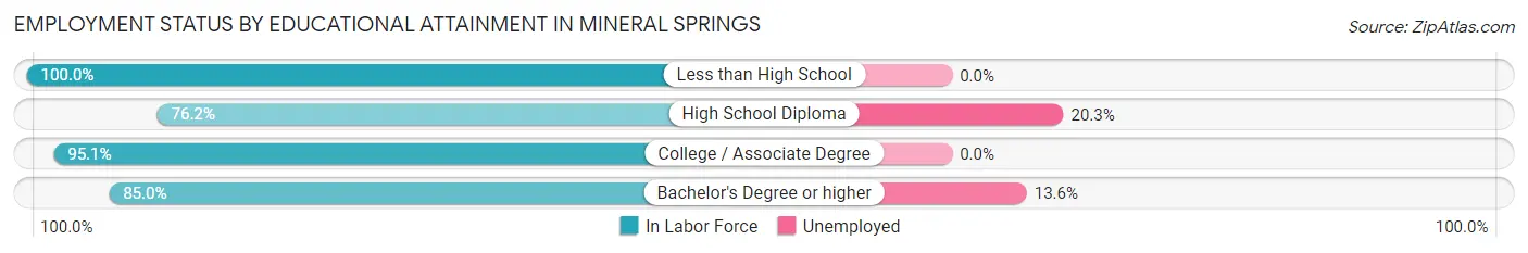 Employment Status by Educational Attainment in Mineral Springs