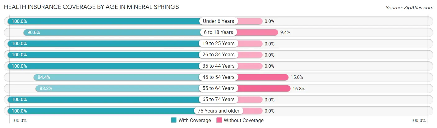 Health Insurance Coverage by Age in Mineral Springs