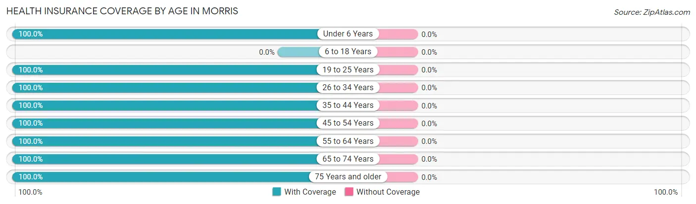 Health Insurance Coverage by Age in Morris