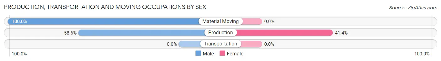 Production, Transportation and Moving Occupations by Sex in Morris