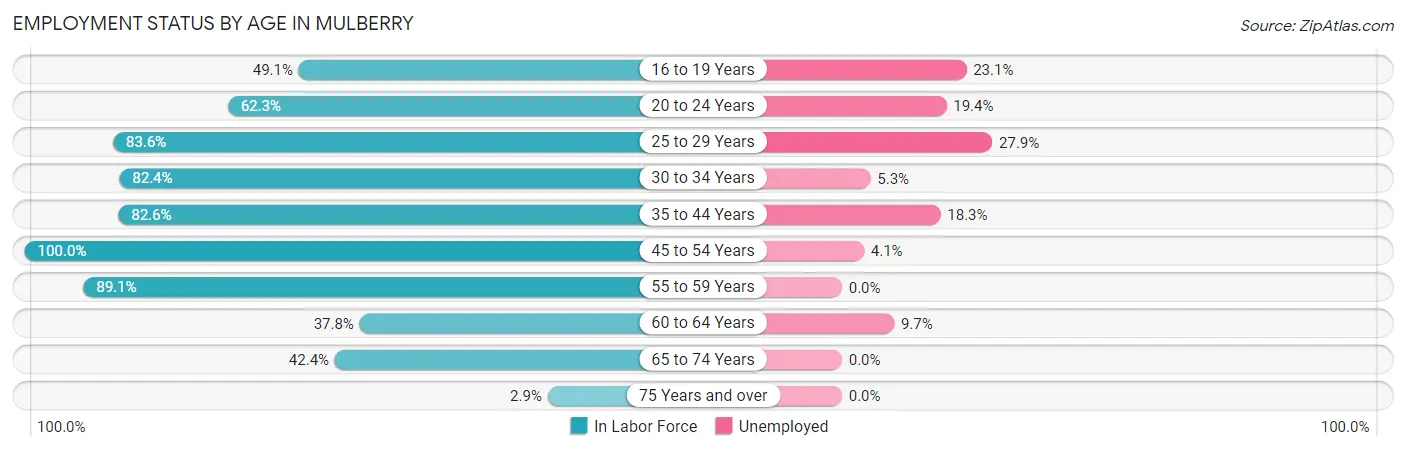 Employment Status by Age in Mulberry
