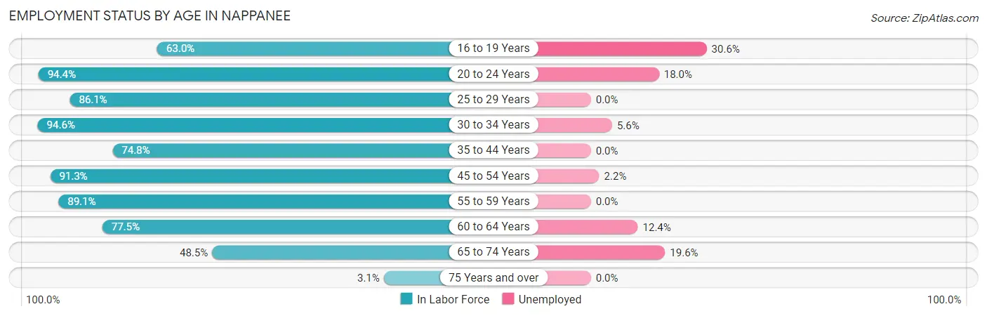 Employment Status by Age in Nappanee