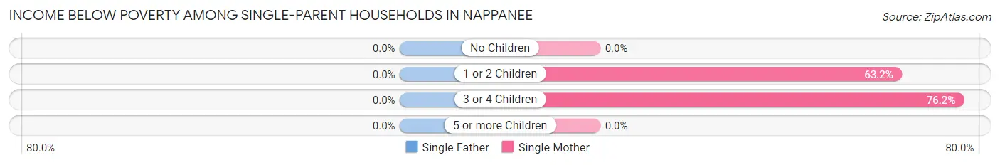 Income Below Poverty Among Single-Parent Households in Nappanee